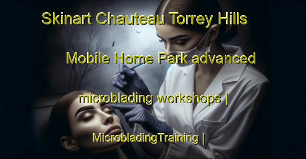 Skinart Chauteau Torrey Hills Mobile Home Park advanced microblading workshops | MicrobladingTraining | MicrobladingClasses | SkinartTraining-United States